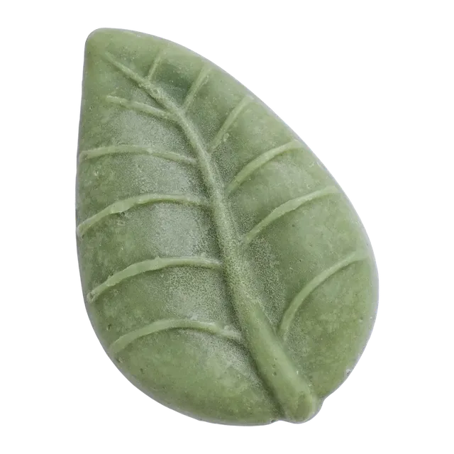 Officina dei Saponi Cocco e Aloe Shampoo Solido Capelli Colorati