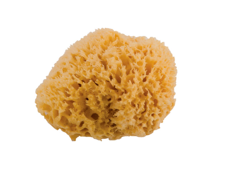 Noire di Hammam Media spugna marina 10 cm naturale