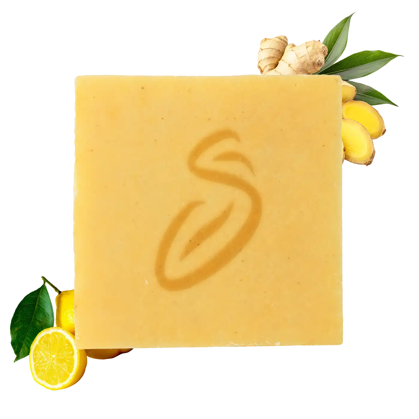 Officina dei Saponi Zenzero e Limone Sapone Viso Corpo Pelle Normale
