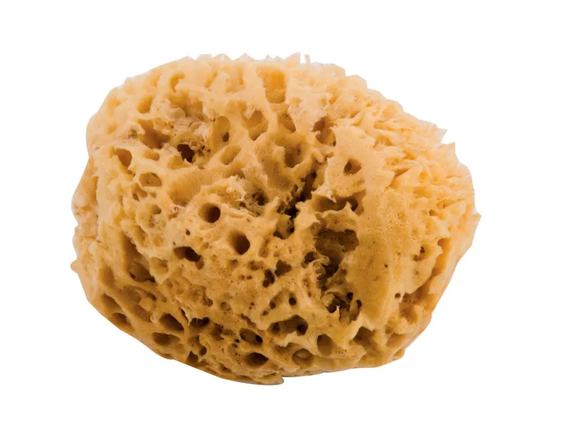 Noire di Hammam Spugna Marina grande naturale 18 cm