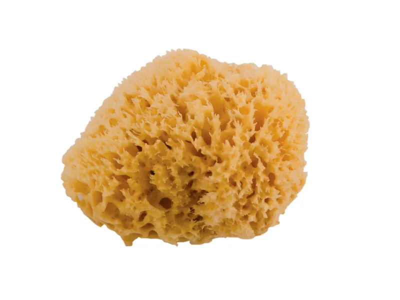 Noire di Hammam Media spugna marina 10 cm naturale