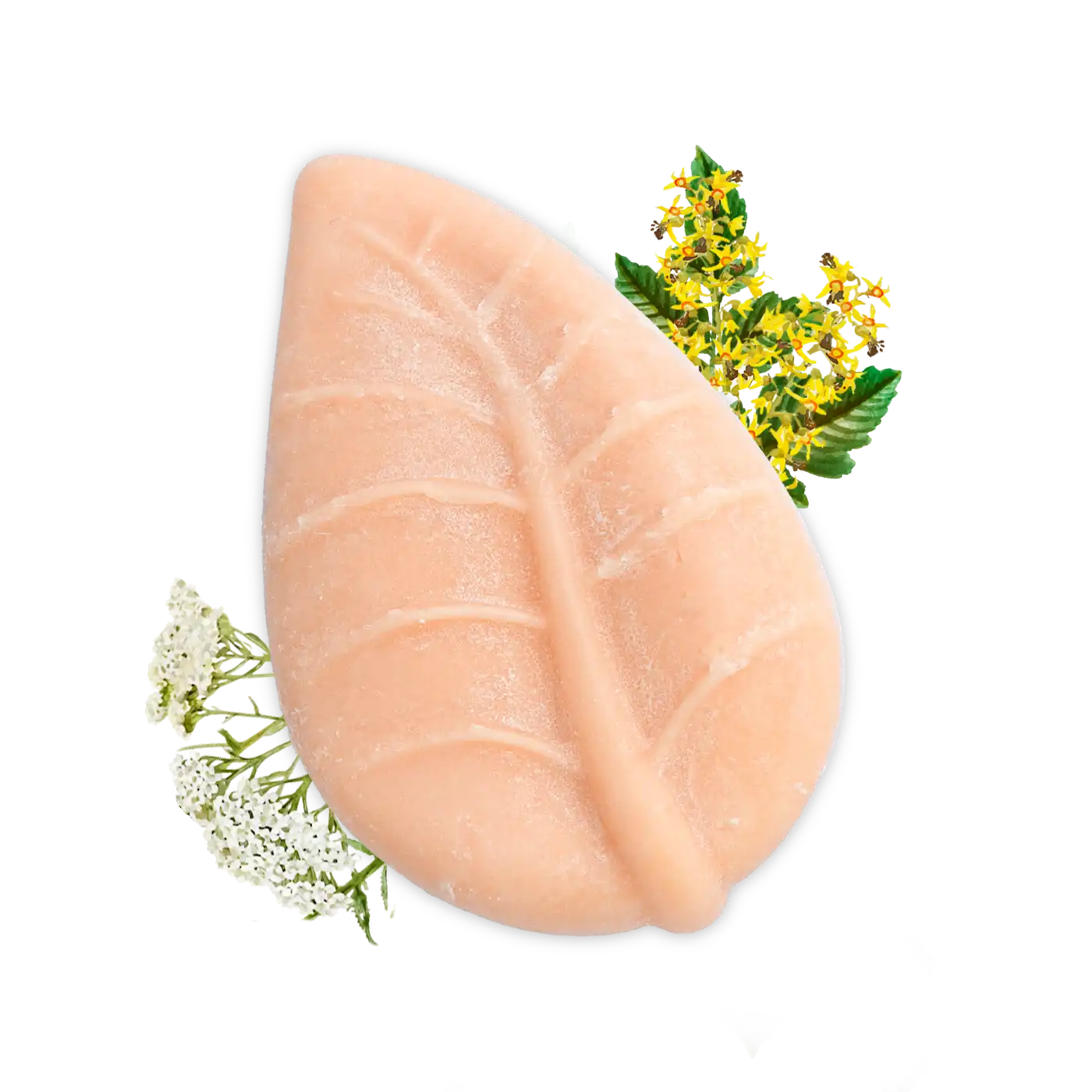 Officina dei Saponi Tiglio e Achillea Shampoo Solido Burri Bio