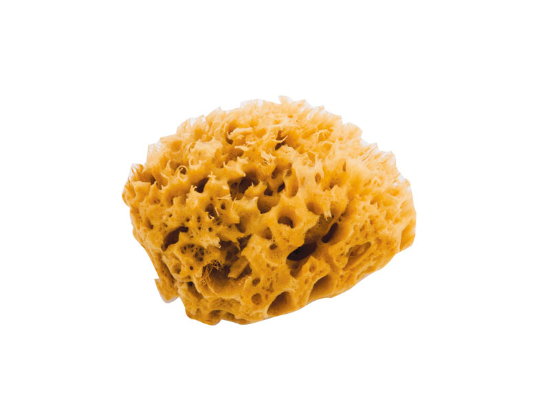 Noire di Hammam Spugna Marina Piccola 8 cm naturale non sbiancata