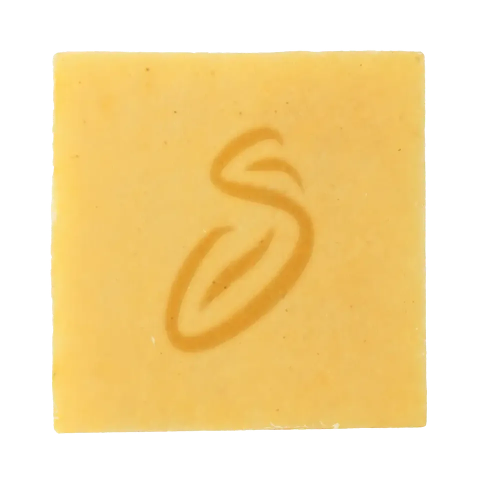 Officina dei Saponi Zenzero e Limone Sapone Viso Corpo Pelle Normale