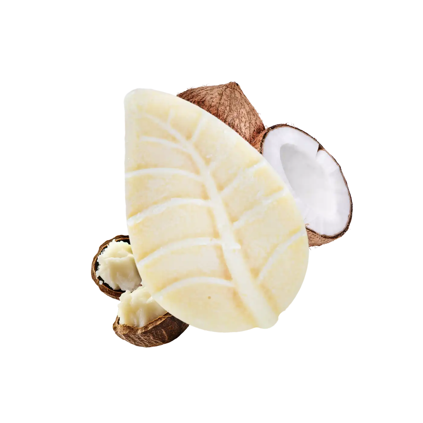 Officina dei Saponi Cocco Macadamia crema corpo solida nutriente