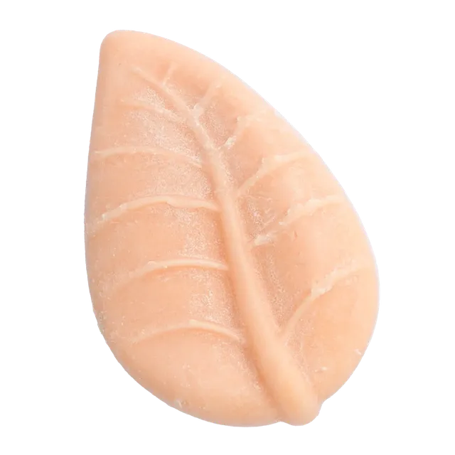 Officina dei Saponi Tiglio e Achillea Shampoo Solido Burri Bio