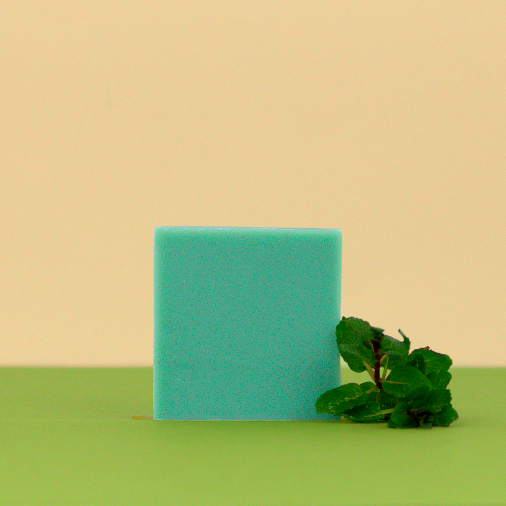 Officina dei Saponi Mirto e Menta Sapone Viso Corpo Tutti Tipi