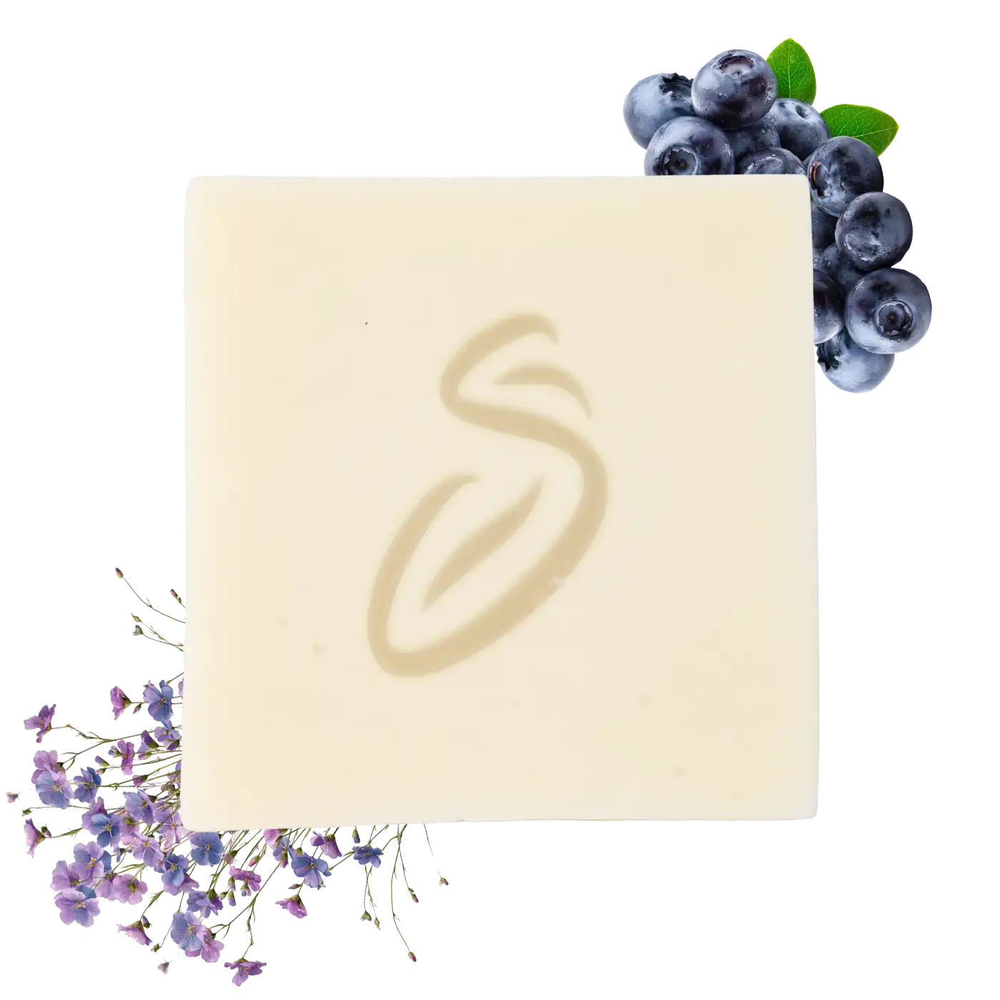 Officina dei Saponi Mirtillo e Malva Sapone Solido Bio Viso