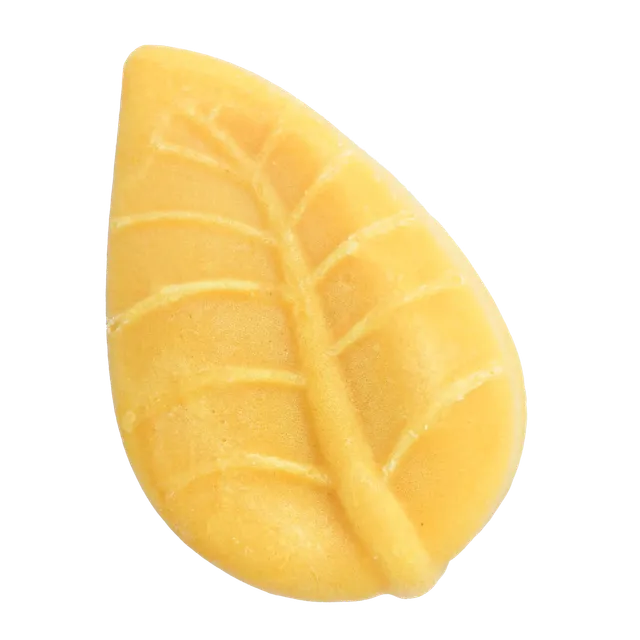 Officina dei Saponi Curcuma Zenzero shampoo solido capelli grassi