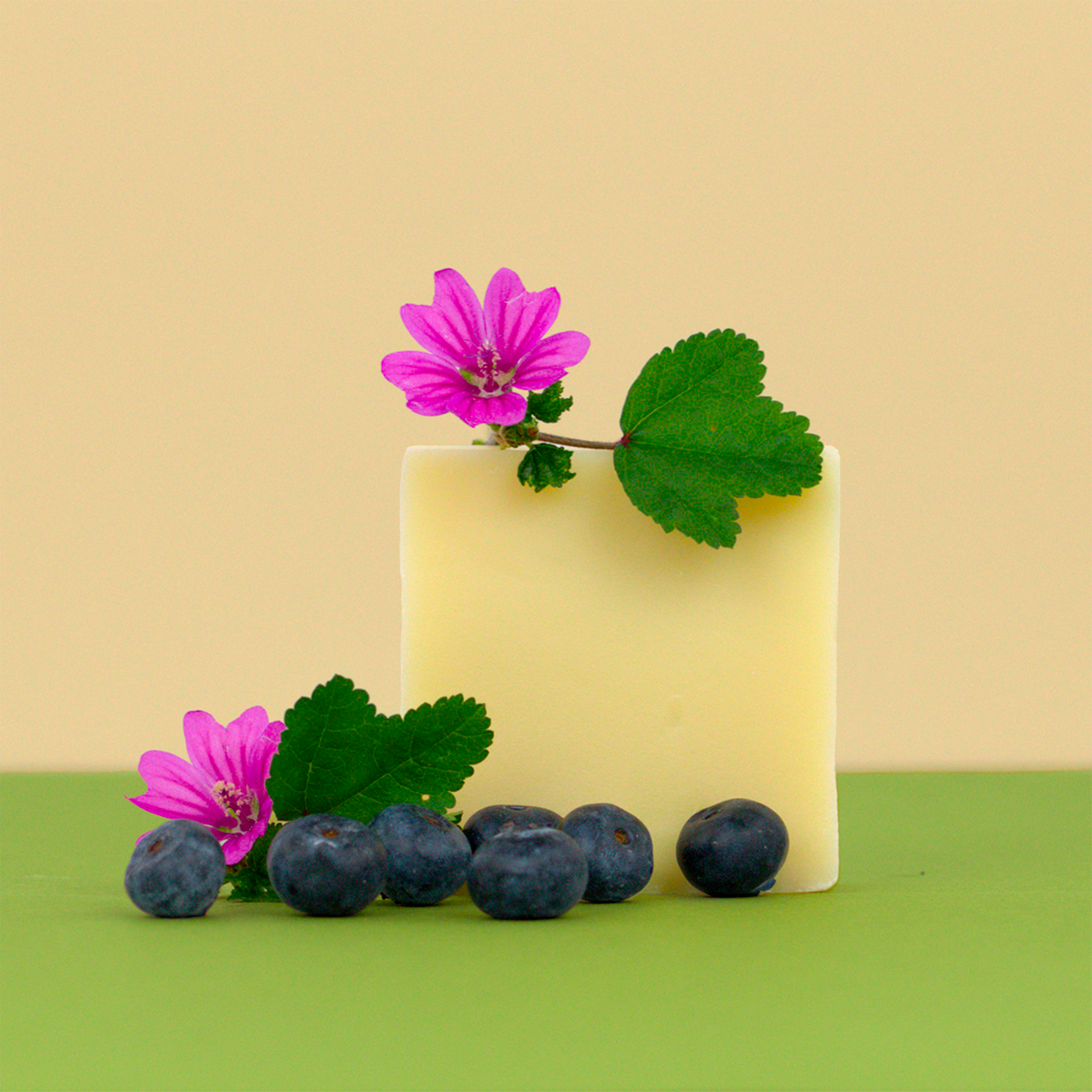 Officina dei Saponi Mirtillo e Malva Sapone Solido Bio Viso