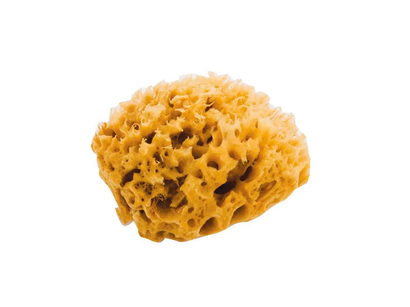 Noire di Hammam Spugna Marina Piccola 8 cm naturale non sbiancata